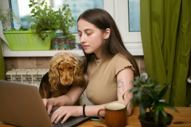 自宅のパソコンに若い女の子がタイプしてる最愛の犬が隣に立ってる。生徒は試験の準備をしています - 写真・画像