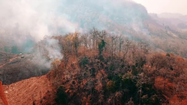 Ένα νέφος δασικών πυρκαγιών. Η αποψίλωση και η κλιματική κρίση. Τοξική ομίχλη από πυρκαγιές τροπικών δασών. Εναέρια βίντεο 4k. - Πλάνα, βίντεο
