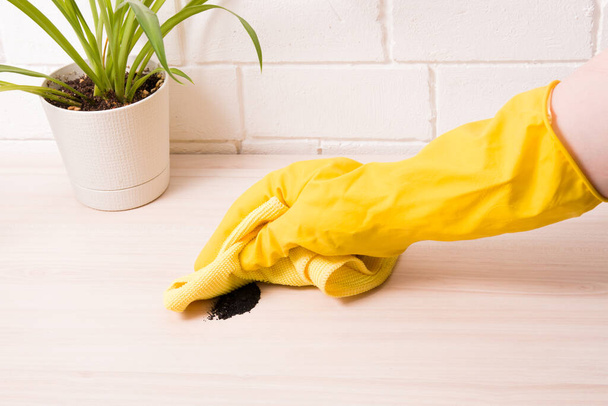 a hand in a yellow rubber glove wipes a table with a yellow microfiber rag, black dirt on the table against a white brick wall and plants in a hill, copy space, coal on the desktop - Фото, зображення