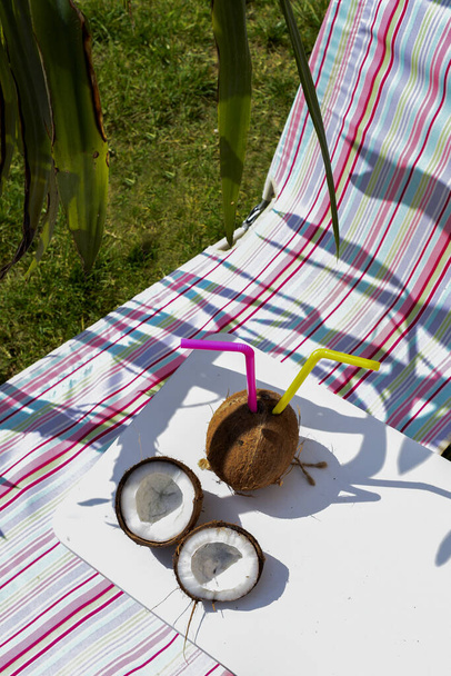 Coconut on a Sunbed in a Garden View. Trees and Leaves at the Background and Blue Sky - Photo, Image