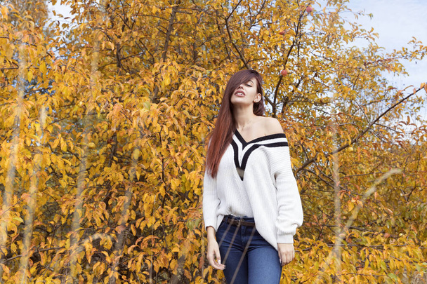 Chica pelirroja en un suéter blanco posando en el bosque de otoño
 - Foto, Imagen