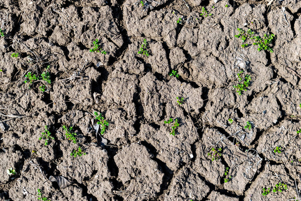 Dry soil erosion texture background - Photo, Image