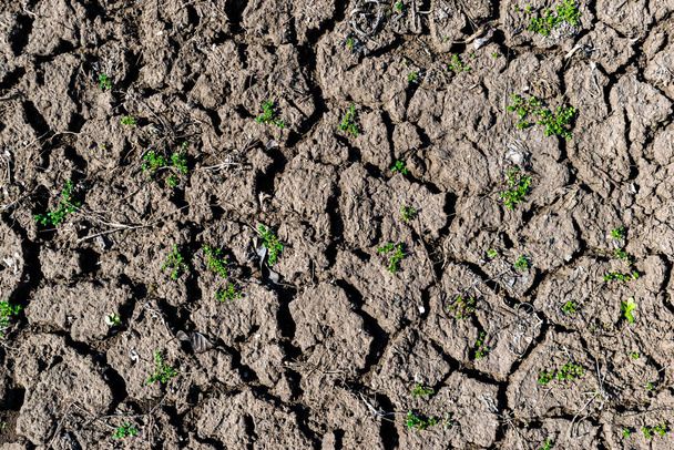 Детальный текстурный фон сухой эрозии почвы
 - Фото, изображение