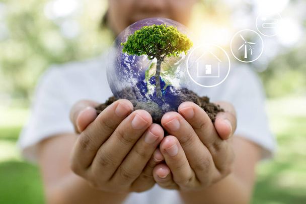 save world and innovation concept, girl holding small plant or tree sapling are growing up from soil on palm with connection line, ecology and conservation concept - Photo, Image