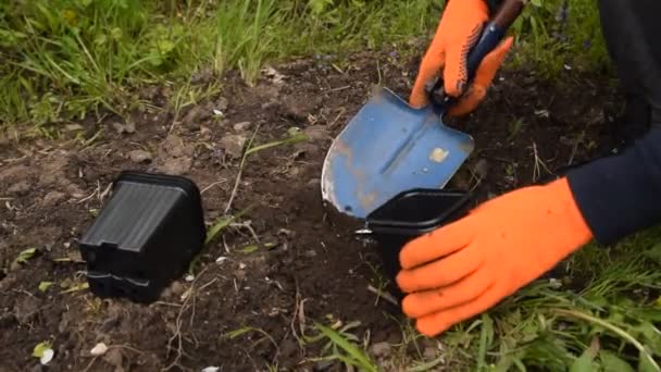 オレンジ色の手袋の庭の男が小さなシャベルで土を鍋に注ぎ - 映像、動画