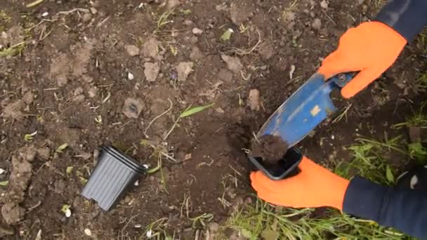 a man in the garden in orange gloves pours earth with a small shovel into a pot - Video