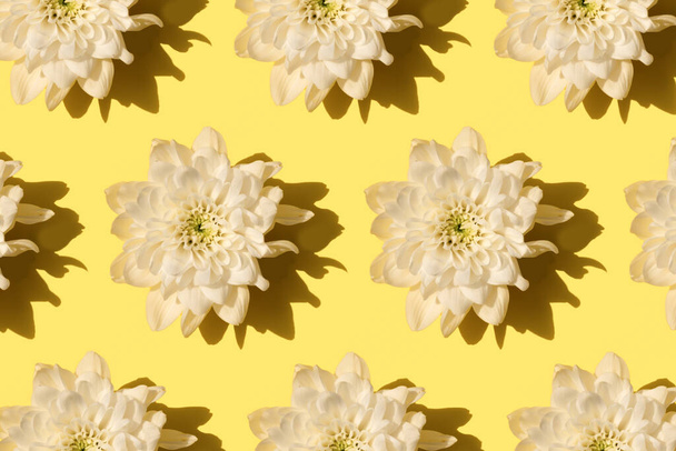 fleur de chrysanthème avec motif d'ombre sur fond jaune - Photo, image