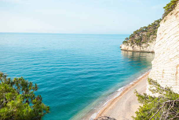 Kaunis ranta kirkkaalla vedellä varauksessa Gargano
 - Valokuva, kuva