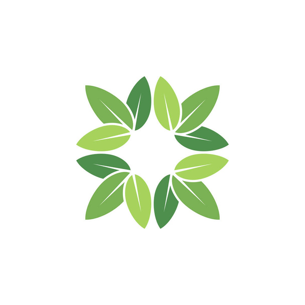 Leaf Logo Vector Design Template - Vector, afbeelding