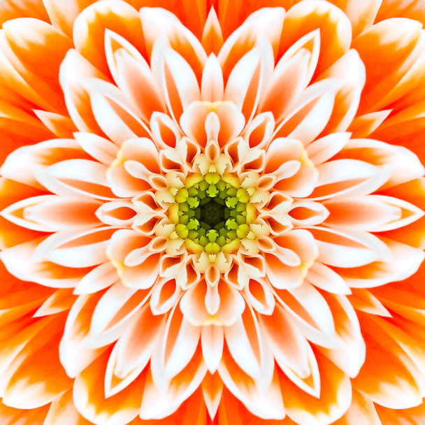 Centre Fleur Concentrique Orange. Mandala Conception kaléidoscopique
 - Photo, image