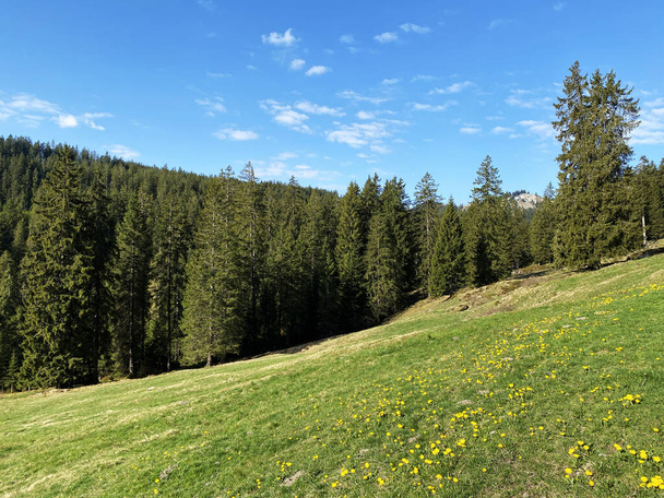 Pastagens e prados alpinos nas encostas do maciço Pilatus e nos vales alpinos no sopé da montanha, Alpnach - Cantão de Obwalden, Suíça (Kanton Obwalden
) - Foto, Imagem
