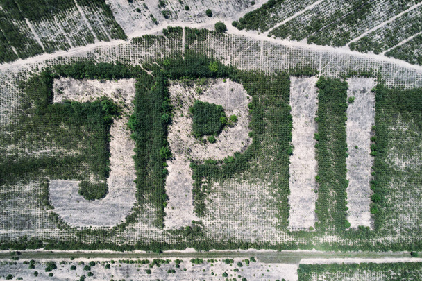 John Paul 2 sign made from trees aerial drone photo - Photo, Image