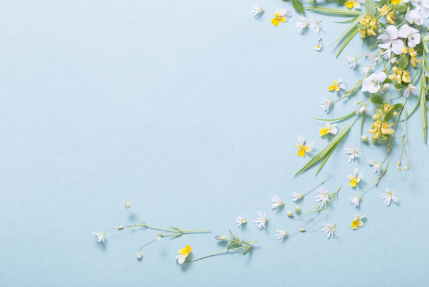 wild flowers on paper background - Valokuva, kuva