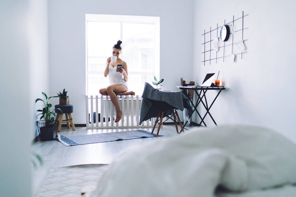 Attentive attractive woman  with hairbun sipping from mug and using smartphone while sitting at window sill in urban house with white walls in morning - Fotó, kép