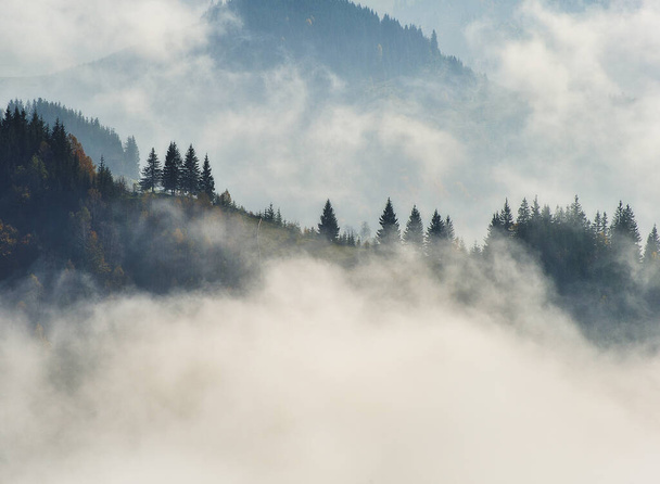 silhuetas de montanhas. manhã de outono nebulosa. Cárpatos da manhã
 - Foto, Imagem