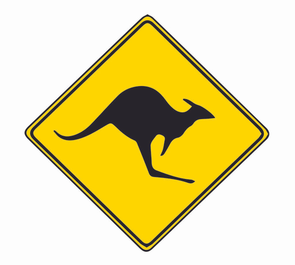 kangaroo crossing road drive carefully - Vector, Image