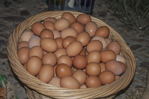 Eggs - Photo, Image