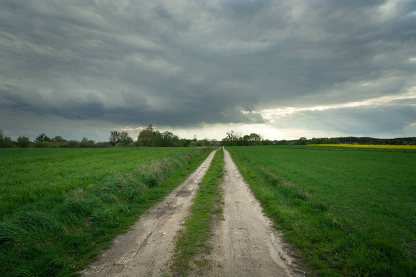A dirt road surrounded by green rural fields, the horizon and dark rain clouds - Photo, image