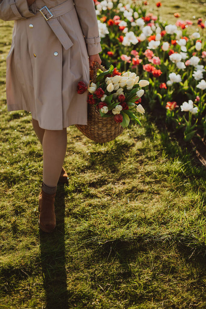 Woman in a raincoat at sunrise among the rows of tulips - Foto, Imagem