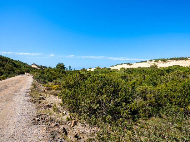 Camino a las dunas de Piscinas, Arbus, Cerdeña, Italia. Camino de tierra que conduce a las dunas de Piscinas, entre la vegetación silvestre de enebro y árboles de lentisk
 - Foto, Imagen