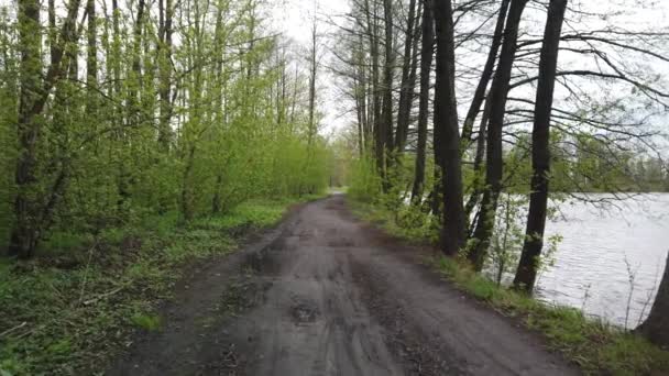 Περπατήστε κατά μήκος ενός χωματόδρομου κατά μήκος της άκρης του δάσους - Πλάνα, βίντεο