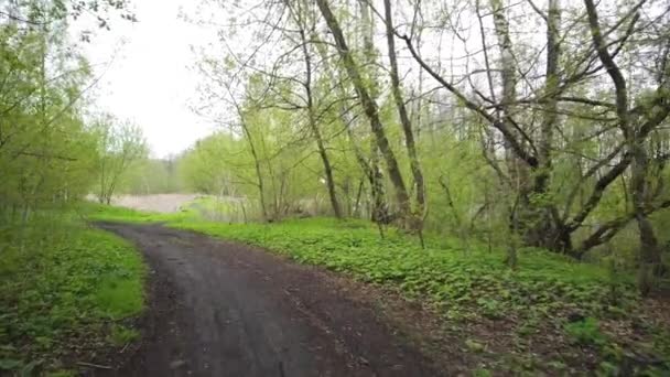 Caminhe ao longo de uma estrada de terra ao longo da borda da floresta
 - Filmagem, Vídeo