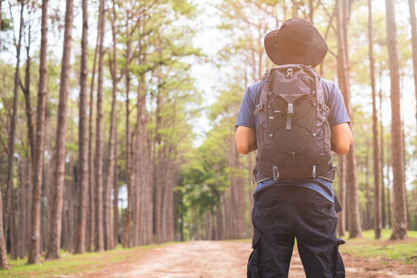 Азійський чоловік з рюкзаком, який мандрує лісом, подорожує пригодами, щоб розслабитися. - Фото, зображення