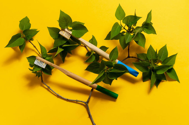 Zwei Zahnbürsten liegen auf einem Zweig Flieder auf gelbem Grund. Umweltfreundlich. Attrappe - Foto, Bild