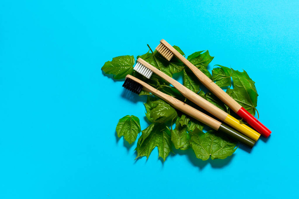  toothbrushes lie on maple leaves on a blue background. eco friendly. mock up - Фото, изображение