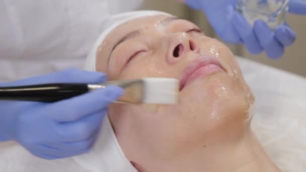 esteticista profesional aplicando una mascarilla facial a una mujer
. - Metraje, vídeo