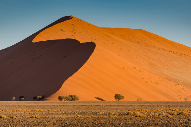 Світло і тінь на гребені оранжевих піщаних дюн в пустелі Наміб, Національний парк Наміб-Науклуфт, Намібія, Південна Африка.. - Фото, зображення