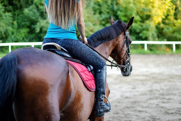  Młoda piękna brunetka jeżdżąca na koniu. Widok z tyłu. - Zdjęcie, obraz