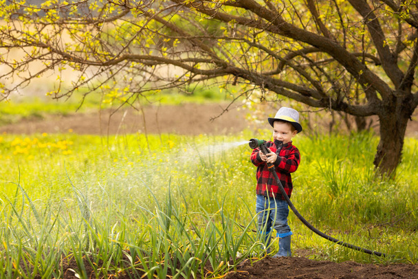 kid boy watering garden - Photo, Image