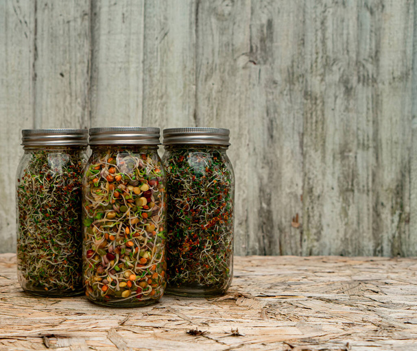 Big glass bottel of seedlings on wooden beckground. Various seeds - sesame, beans, lentis, flax seed, sunflower seeds, pumpkin seed, quinoa, chia in glass bottle.  - Photo, Image