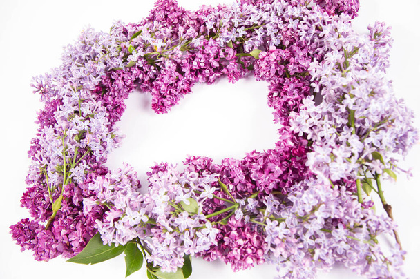Garland of Lilac flowers on a white background with text space in the middle - Фото, изображение