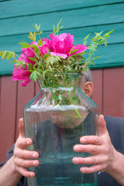 Frasco de vidro grande com um buquê de peônias rosa em mãos masculinas fortes. A cara do homem atrás do vidro. Fundo de uma parede de madeira de uma casa de campo. Imagem vertical
. - Foto, Imagem
