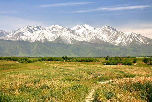 El hermoso paisaje en el lago Song kul, Naryn con las montañas Tian Shan de Kirguistán
 - Foto, Imagen