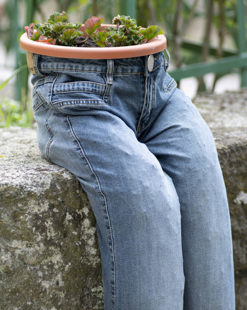 Blue jeans planter with hiking shoes,vintage garden decoration. - 写真・画像