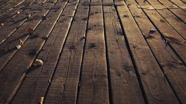 Drewniane tło, podłoga z desek nad wodą o zachodzie słońca jesienią - Materiał filmowy, wideo