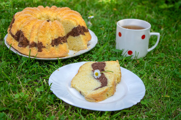 Gugelhupf v zeleném travnatém pozadí, velmi chutný jedlý dvoubarevný český rustikální sladký dort zvaný babovka, připravený k jídlu, sedmikráska, letní přestávka na čaj, bylinkový čaj v tečkovaném šálku - Fotografie, Obrázek