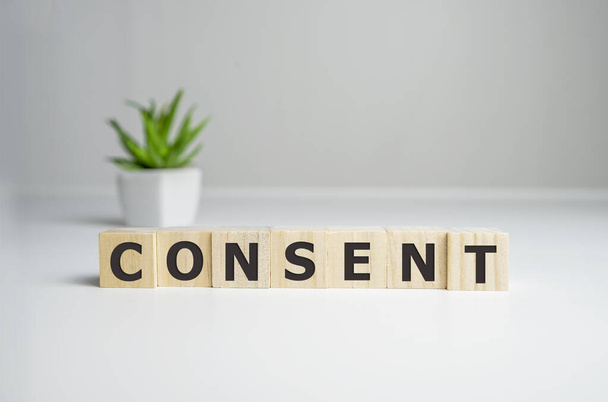 Consent - word from wooden blocks with letters, consent concept, top view on white background. - 写真・画像