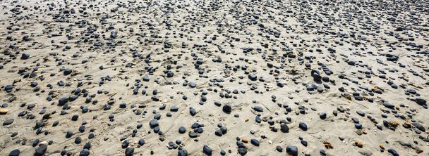Pequenas pedras pretas e conchas espalhadas na praia, imagem banner
 - Foto, Imagem