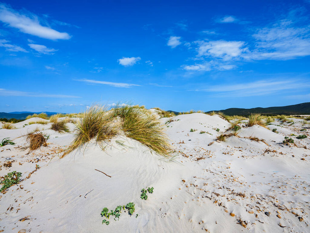 La arena blanca de la playa de Is Arenas Biancas, con altas dunas blancas llamadas Le Dune, Sant 'Anna Arresi, Cerdeña, Italia
 - Foto, Imagen