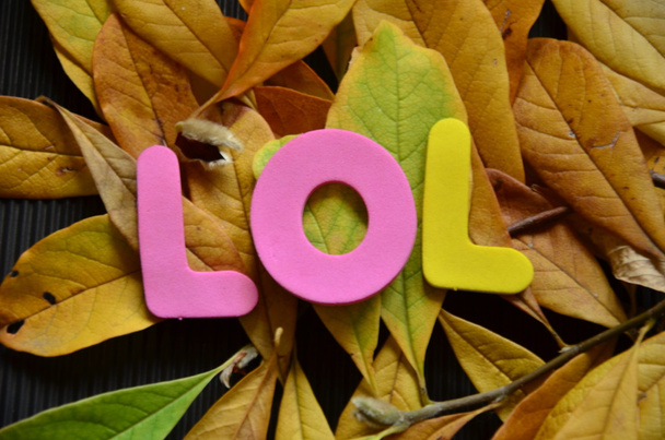 λέξη lol - Φωτογραφία, εικόνα