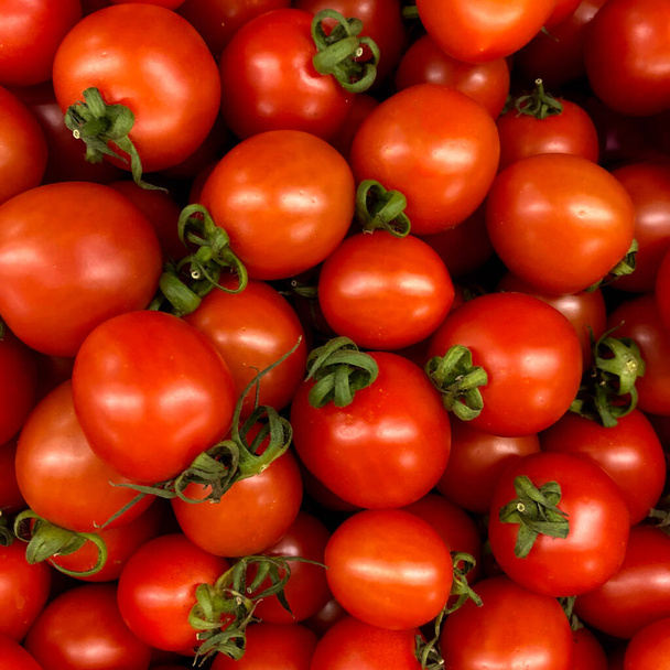 Makro fotoğraf kırmızı domates. Stok fotoğrafı kırmızı taze sebze domatesleri.  - Fotoğraf, Görsel