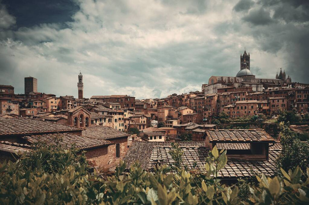 Siena Cathedral a Torre del Mangia Bell Tower s historickými budovami. Itálie - Fotografie, Obrázek