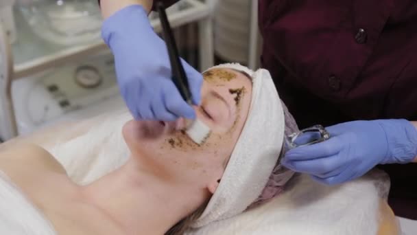 esteticista profesional aplicando una mascarilla facial a una mujer
. - Metraje, vídeo