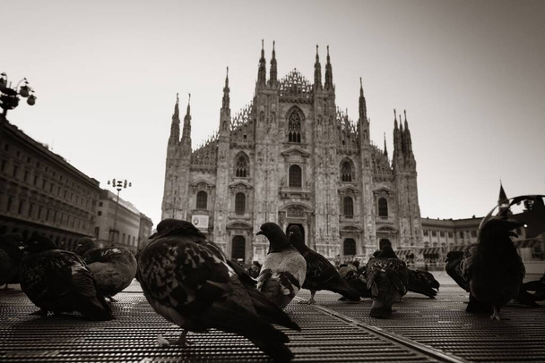 Cathedral Square tai Piazza del Duomo italiaksi on Milanon kaupungin keskustassa Italiassa.  - Valokuva, kuva