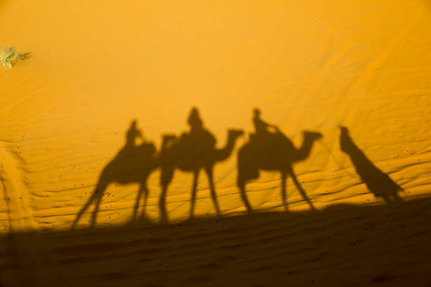 Сахара самая большая засушливая пустыня в мире, звезды в Марокко со смесью песка и породы
. - Фото, изображение