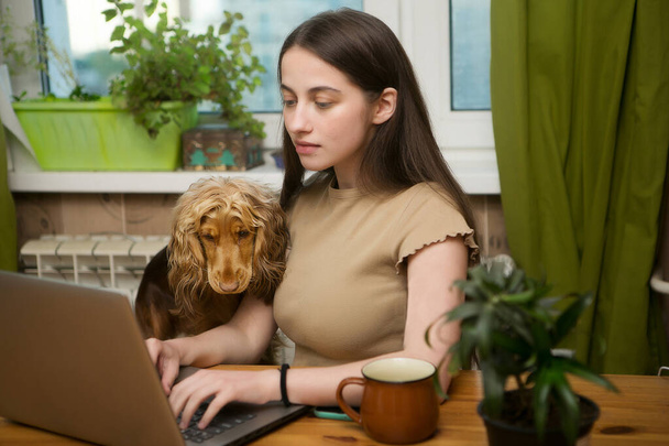 a young girl is typing at a computer in the home office, her beloved dog is standing next to her. the student is preparing for the exam - Foto, Bild
